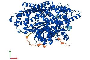 AlphaFold protein structure predicition of Human Recombinant THOP1 Protein, UniprotID P52888