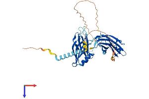 AlphaFold protein structure predicition of Mouse Recombinant Syt7 Protein, UniprotID Q9R0N7