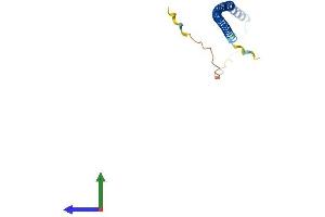 AlphaFold protein structure predicition of Mouse Recombinant Bloc1s6 Protein, UniprotID Q9R0C0