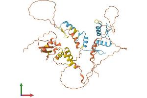 AlphaFold protein structure predicition of Human Recombinant ZBTB26 Protein, UniprotID Q9HCK0