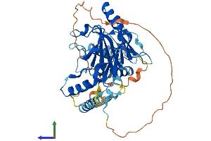 AlphaFold protein structure predicition of Mouse Recombinant Irf3 Protein, UniprotID P70671