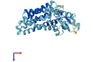 AlphaFold protein structure predicition of Human Recombinant SFXN2 Protein, UniprotID Q96NB2