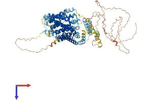 AlphaFold protein structure predicition of Mouse Recombinant Slc9a4 Protein, UniprotID Q8BUE1