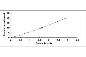 Typical standard curve (EGLN1 Kit ELISA)