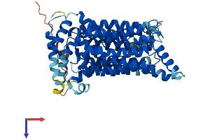 AlphaFold protein structure predicition of Human Recombinant SLC2A3 Protein, UniprotID P11169