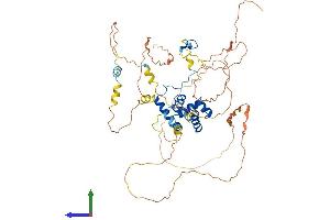 AlphaFold protein structure predicition of Mouse Recombinant Mier2 Protein, UniprotID Q3U3N0