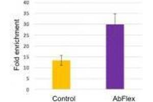 anti-Ago1/2/3 (AA 47-859) antibody