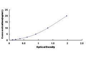 ELISA image for Protein Tyrosine Phosphatase Type IVA, Member 3 (PTP4A3) ELISA Kit (ABIN419291)