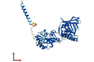 AlphaFold protein structure predicition of Human Recombinant FKTN Protein, UniprotID O75072