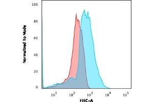 Flow Cytometric Analysis of PFA-fixed HEK293 cells using CD137L-Monospecific Mouse Monoclonal Antibody (CD137L/1547) followed by goat anti-Mouse IgG-CF488 (Blue); Isotype Control (Red).