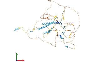 AlphaFold protein structure predicition of Mouse Recombinant Spty2d1 Protein, UniprotID Q68FG3