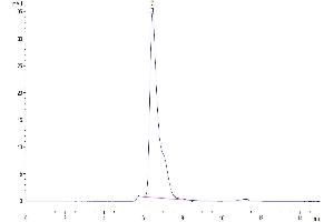 The purity of Mouse TEM1 is greater than 95 % as determined by SEC-HPLC.