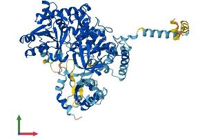 AlphaFold protein structure predicition of Mouse Recombinant Acsl6 Protein, UniprotID Q91WC3