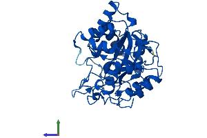AlphaFold protein structure predicition of Mouse Recombinant Akr1d1 Protein, UniprotID Q8VCX1