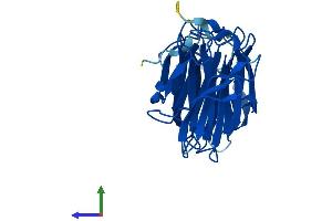 AlphaFold protein structure predicition of Mouse Recombinant Lgals6 Protein, UniprotID O54891