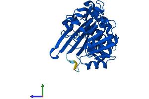 AlphaFold protein structure predicition of Mouse Recombinant Crym Protein, UniprotID O54983