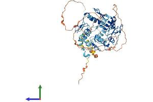 AlphaFold protein structure predicition of Human Recombinant ZNF460 Protein, UniprotID Q14592
