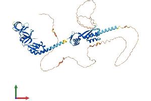 AlphaFold protein structure predicition of Mouse Recombinant Fmr1 Protein, UniprotID P35922