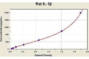 Diagramm of the ELISA kit to detect Rat 1 L-1betawith the optical density on the x-axis and the concentration on the y-axis. (IL-1 beta Kit ELISA)