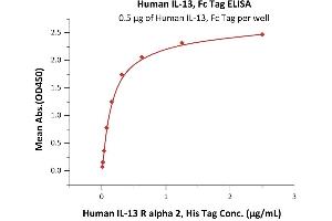 Interleukin 13 (IL13) (AA 21-132) (Active) protein (Fc Tag)