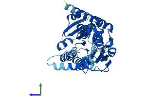 AlphaFold protein structure predicition of Human Recombinant HSD3B2 Protein, UniprotID P26439
