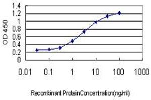 Detection limit for recombinant GST tagged ZHX1 is approximately 0. (ZHX1 anticorps  (AA 731-829))