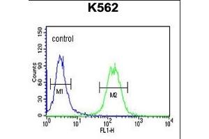 GALR1 Antibody (Center) (ABIN653295 and ABIN2842799) flow cytometric analysis of K562 cells (right histogram) compared to a negative control cell (left histogram). (Galanin Receptor 1 anticorps  (AA 174-200))