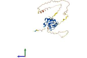 AlphaFold protein structure predicition of Human Recombinant SPI1 Protein, UniprotID P17947