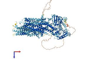 AlphaFold protein structure predicition of Human Recombinant ABCC1 Protein, UniprotID P33527