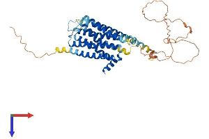 AlphaFold protein structure predicition of Mouse Recombinant Drd3 Protein, UniprotID P30728