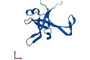 AlphaFold protein structure predicition of Human Recombinant RPL35A Protein, UniprotID P18077