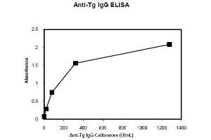 ELISA image for Anti-Tg IgG Antibody ELISA Kit (ABIN1305176) (Anti-Tg IgG Antibody Kit ELISA)