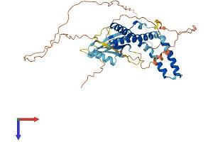 AlphaFold protein structure predicition of Human Recombinant ELL3 Protein, UniprotID Q9HB65