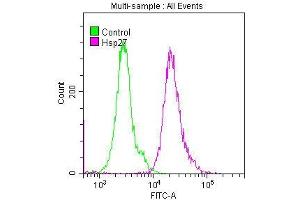 Overlay histogram showing Hela cells stained with ABIN7127557 (red line) at 1:50.