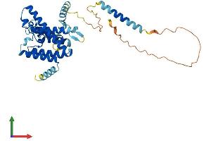 AlphaFold protein structure predicition of Human Recombinant TMEM115 Protein, UniprotID Q12893