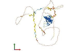 AlphaFold protein structure predicition of Mouse Recombinant Clnk Protein, UniprotID Q9QZE2