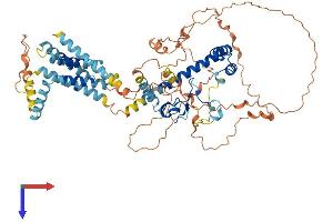 AlphaFold protein structure predicition of Mouse Recombinant Tmem201 Protein, UniprotID A2A8U2