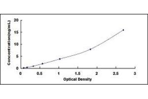 Typical standard curve (ALDOB Kit ELISA)