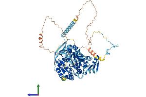 AlphaFold protein structure predicition of Mouse Recombinant Cpsf2 Protein, UniprotID O35218