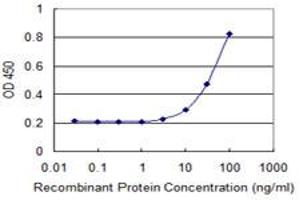 Detection limit for recombinant GST tagged RBM8A is 3 ng/ml as a capture antibody. (RBM8A anticorps  (AA 1-174))