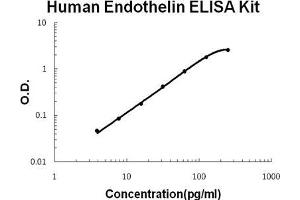 Human Endothelin PicoKine ELISA Kit standard curve (Endothelin 1 Kit ELISA)