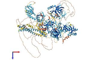AlphaFold protein structure predicition of Mouse Recombinant Rnf17 Protein, UniprotID Q99MV7