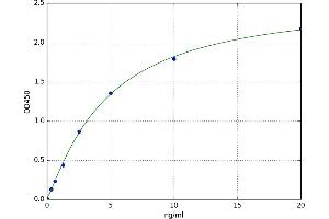 K(lysine) Acetyltransferase 8 (KAT8) ELISA Kit