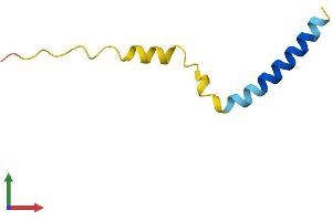 AlphaFold protein structure predicition of Mouse Recombinant Lenep Protein, UniprotID Q9WVB6