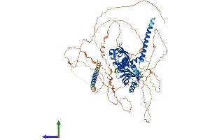 AlphaFold protein structure predicition of Human Recombinant NPAS2 Protein, UniprotID Q99743