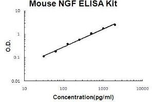 Mouse NGF/NGF beta PicoKine ELISA Kit standard curve