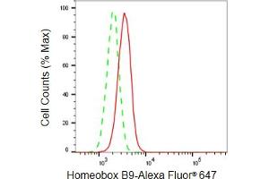 Flow cytometric analysis of Homeobox B9 expression in HepG2 cells using Homeobox B9 antibody (ABIN7798993), 1:2,000). (Recombinant HOXB9 anticorps)