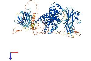 AlphaFold protein structure predicition of Mouse Recombinant Rabgap1l Protein, UniprotID A6H6A9