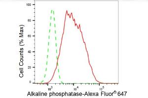 Flow cytometric analysis of Alkaline phosphatase expression in HepG2 cells using Alkaline phosphatase antibody (ABIN7797576), 1:2,000). (Recombinant Alkaline Phosphatase anticorps)