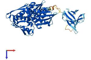 AlphaFold protein structure predicition of Human Recombinant HSPA14 Protein, UniprotID Q0VDF9